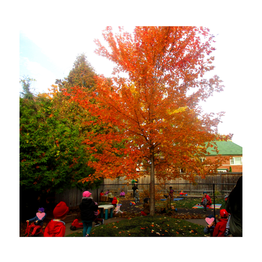 Windermere Kids Inc. | 356 Windermere Ave, Toronto, ON M6S 3L3, Canada | Phone: (416) 761-9772