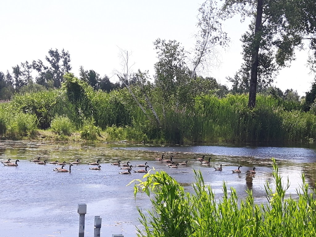 Parc Le Rocher | Rue Alfred, Saint-Amable, QC J0L 1N0, Canada
