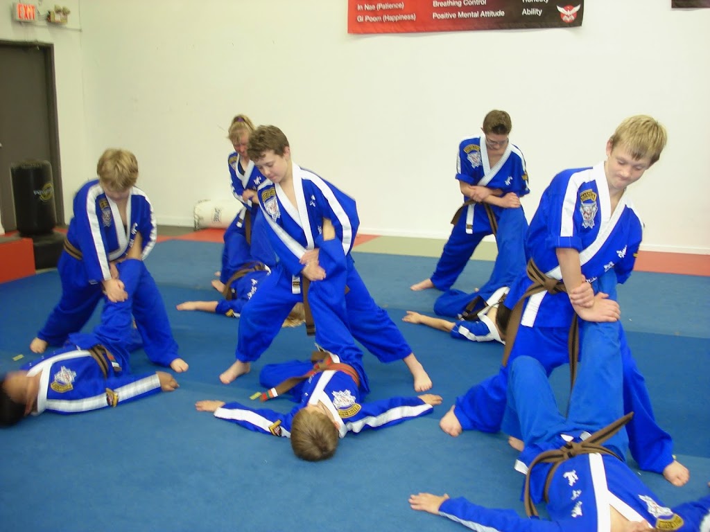 Sun Hang Do Martial Arts Langley | 19862 96 Ave #2, Langley City, BC V1M 3C1, Canada | Phone: (604) 888-6651