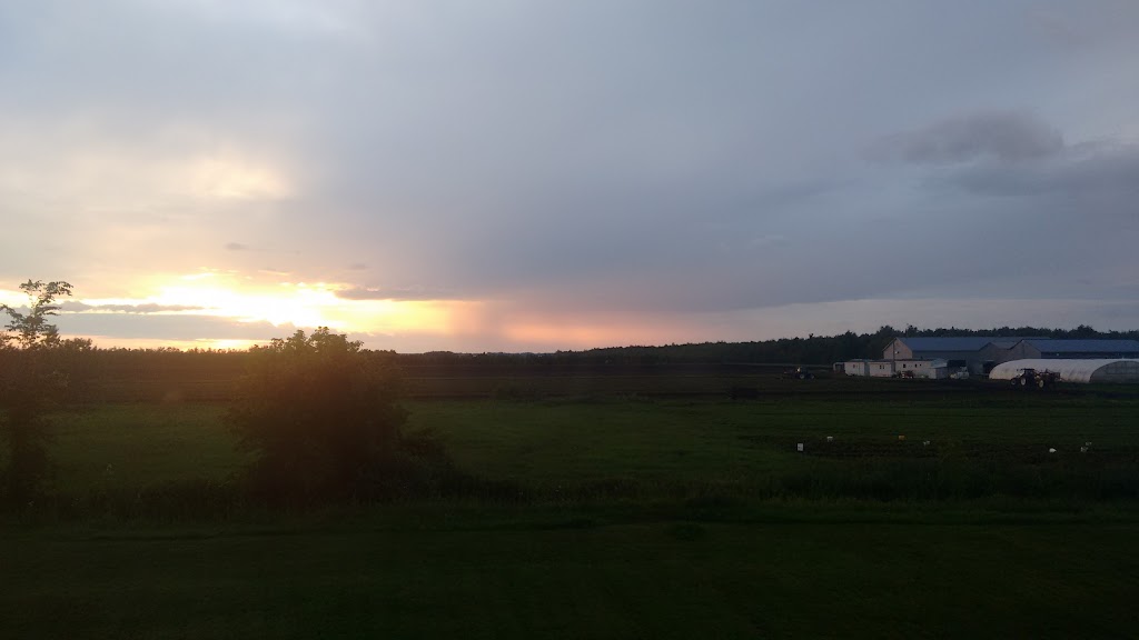 Fermes Leclair & Frères Ltée | 157 Rang Saint-Pierre O, Sherrington, QC J0L 2N0, Canada | Phone: (450) 454-9027