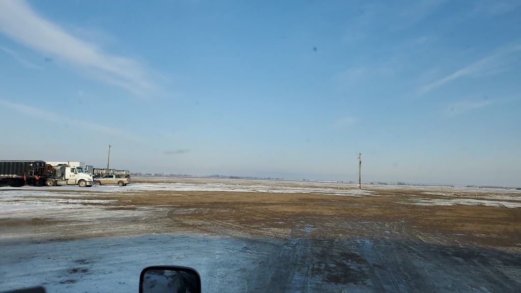 Gouw Quality Onions | 100044, Range Rd 161, Taber, AB T1G 1X4, Canada | Phone: (403) 223-1440