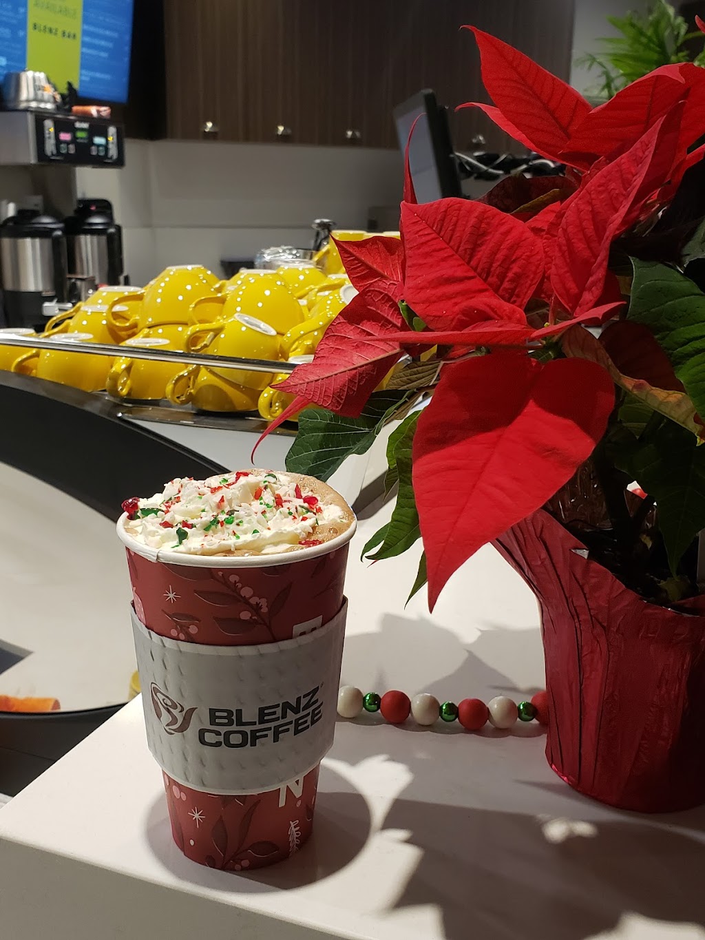 Blenz Coffee | Blenz in Sumas Mountain Village, 2362 Whatcom Rd, Abbotsford, BC V3G 1E1, Canada | Phone: (604) 746-3378