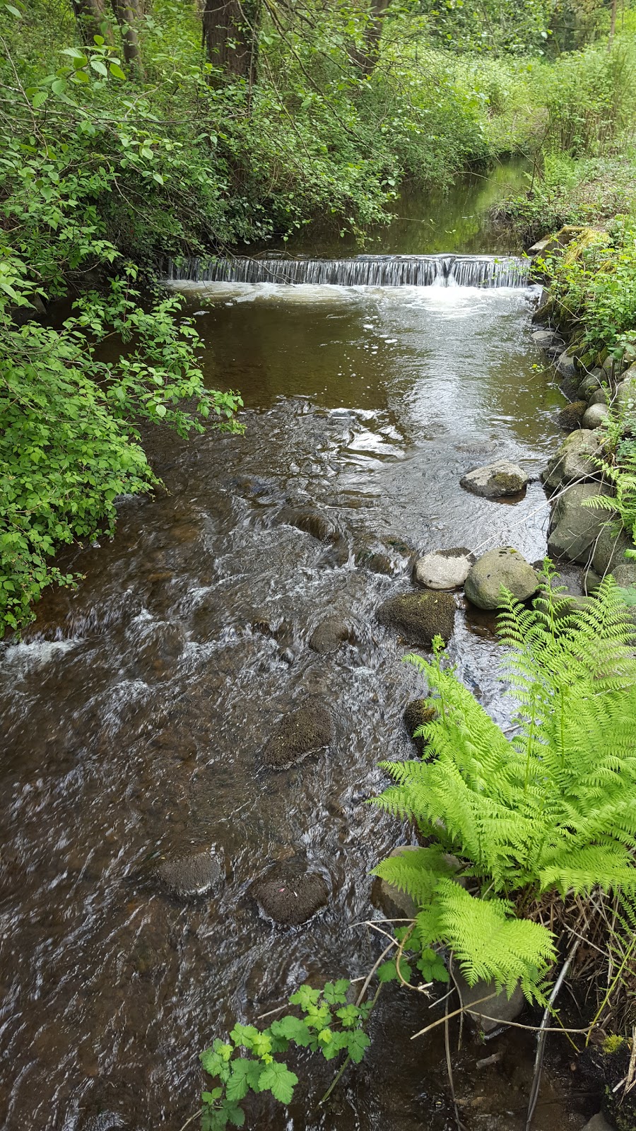 Charles Rummel Park | 3325 Piper Ave, Burnaby, BC V5A 2A8, Canada | Phone: (604) 294-7450