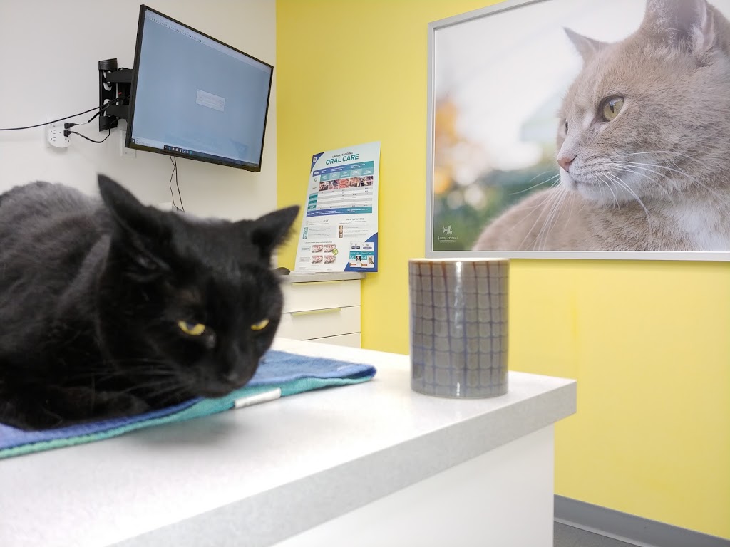 RAPS Animal Hospital | 13340 Smallwood Pl #205, Richmond, BC V6V 1W8, Canada | Phone: (604) 242-1666