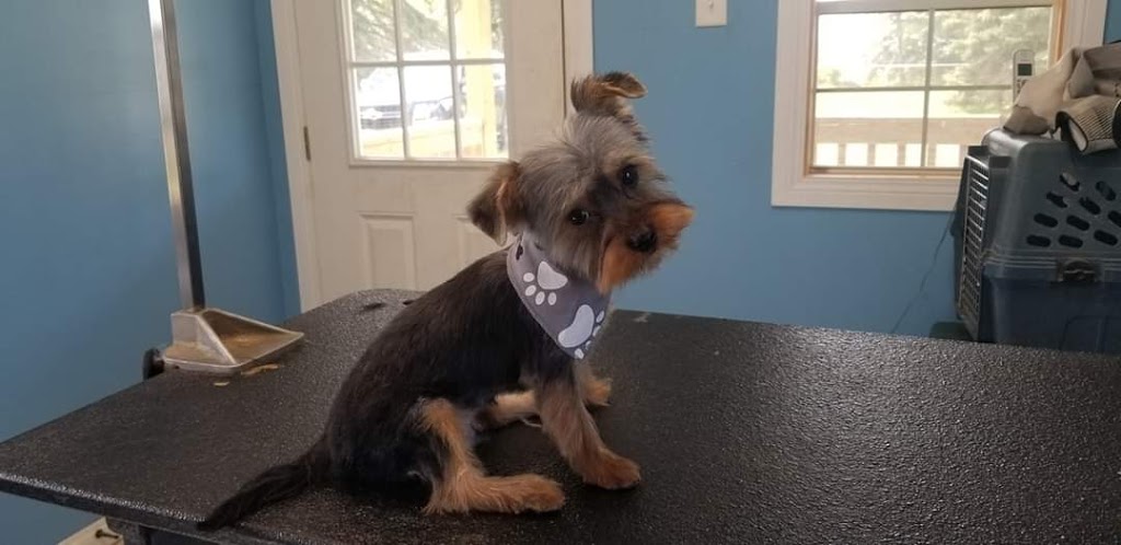 Grooming by Kerri | 63308, Range Rd 271, Jarvie, AB T0B 4B0, Canada | Phone: (780) 224-7064