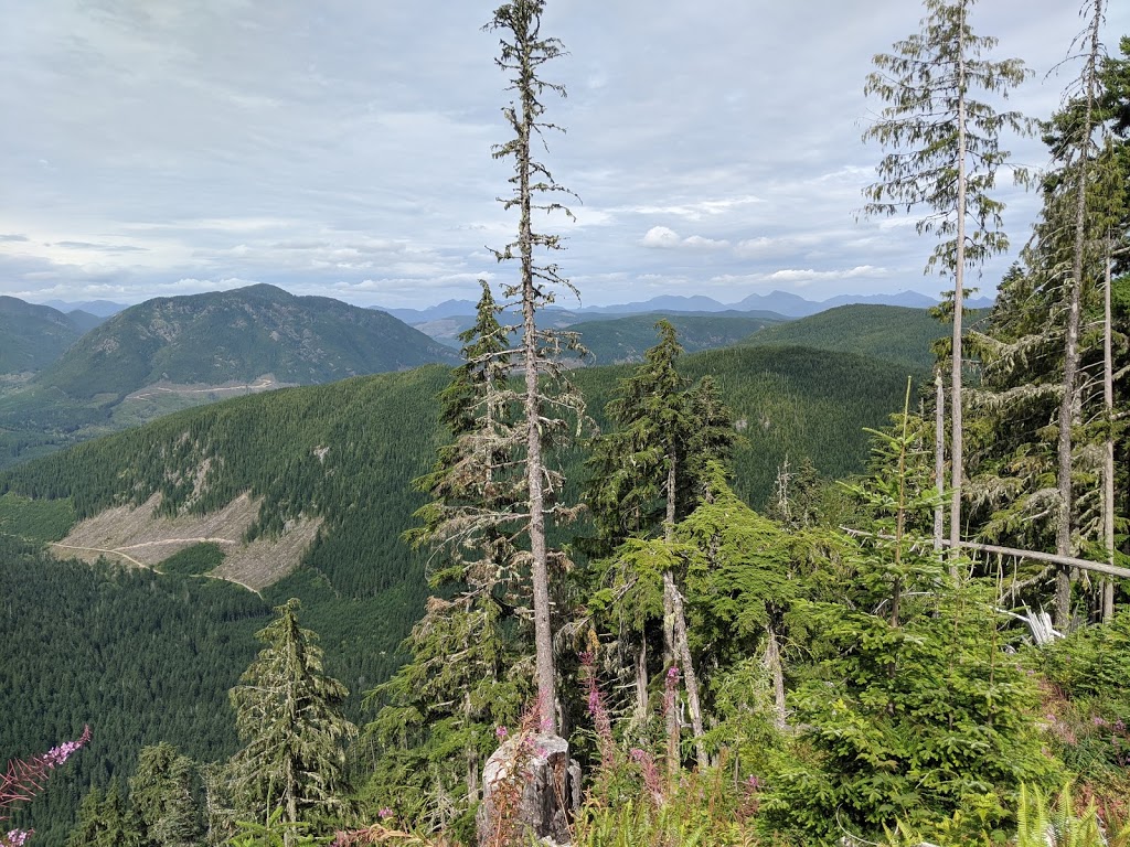 A&W Canada | 96 Wellington Road West, Lake Cowichan, BC V0R 2G0, Canada | Phone: (250) 749-0111