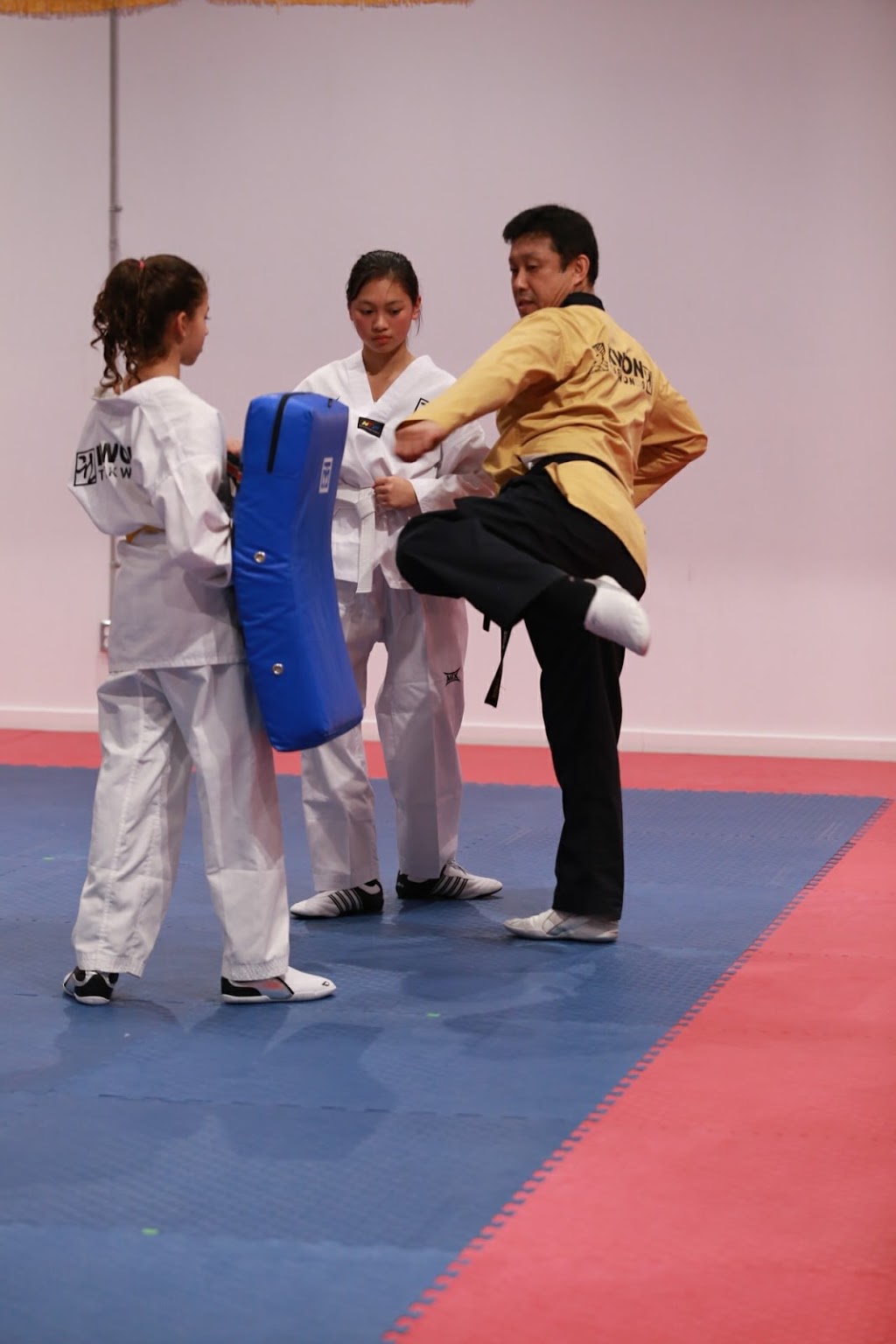 Kwon Taekwondo | 1350 Rue Mazurette Local 114, Montréal, QC H4N 1H2, Canada | Phone: (514) 887-8673
