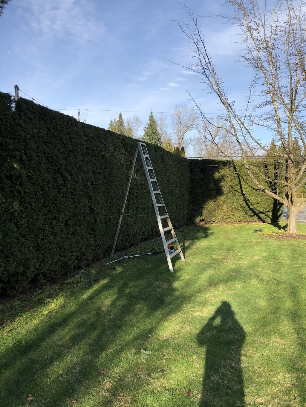 Vandyk Lawn & Landscape | 23148 48 Ave, Langley Twp, BC V2Z 2R9, Canada | Phone: (604) 729-4216