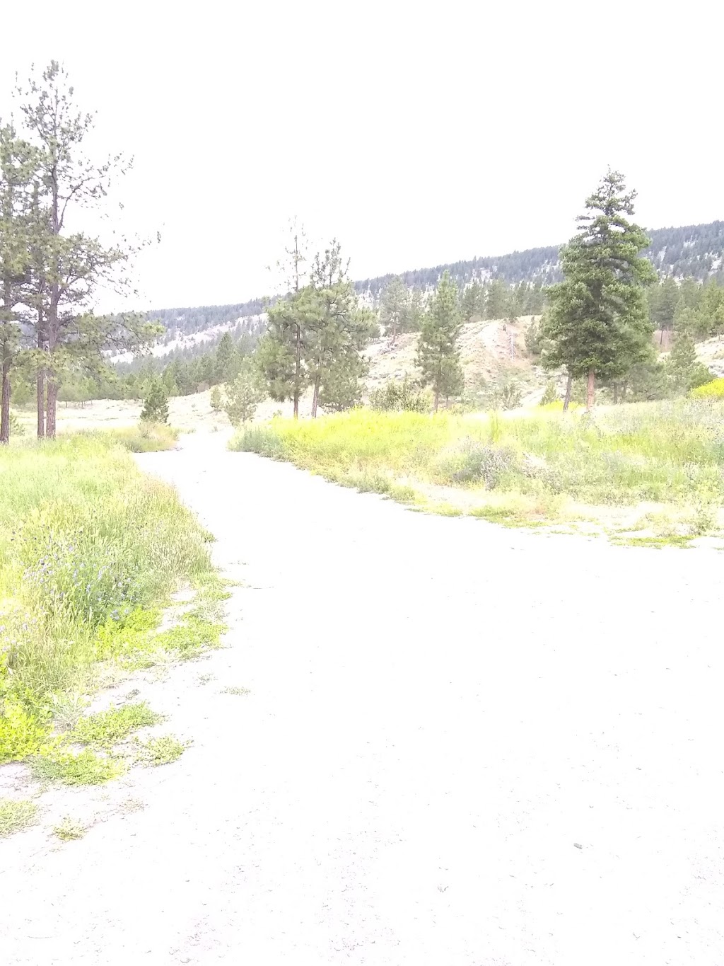 Tom Lacey Trail | Merritt, BC V1K 1J5, Canada | Phone: (250) 280-6590