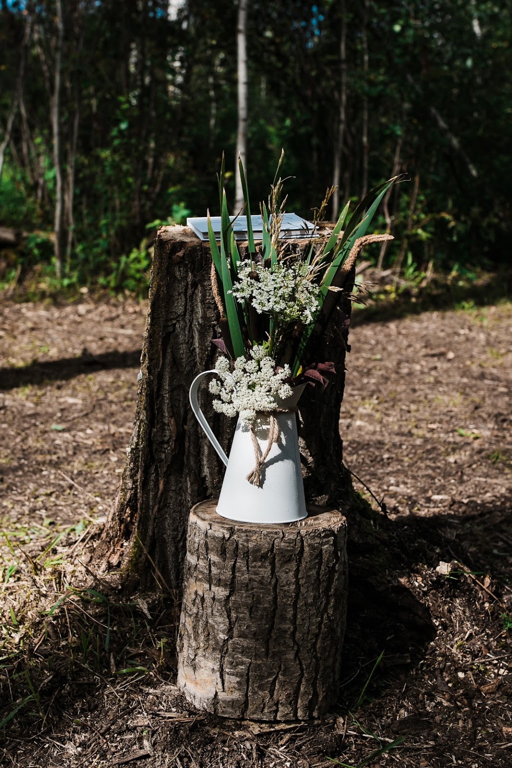 Woodland Farms Weddings | 51106, Range Rd 191, Tofield, AB T0B 4J5, Canada | Phone: (780) 221-4057