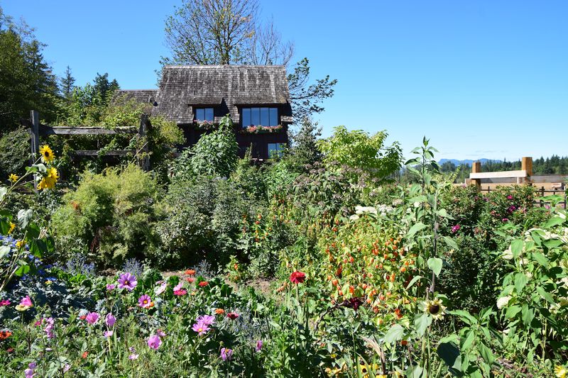 Coleman Meadows Farm | Alberni-Clayoquot D, BC V9Y 8Y9, Canada | Phone: (250) 724-0876