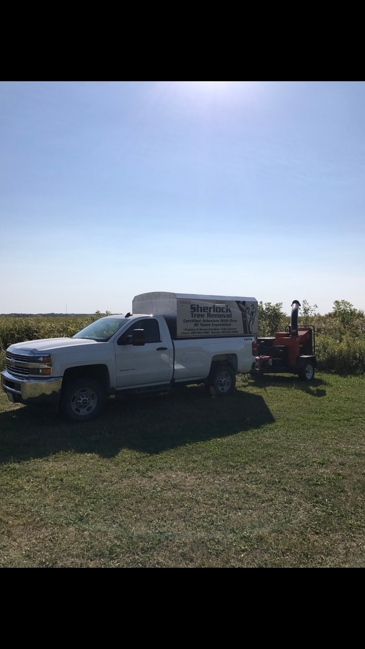 Sherlock Tree Removal | 26 1 St W, Inwood, MB R0C 1P0, Canada | Phone: (204) 861-0487