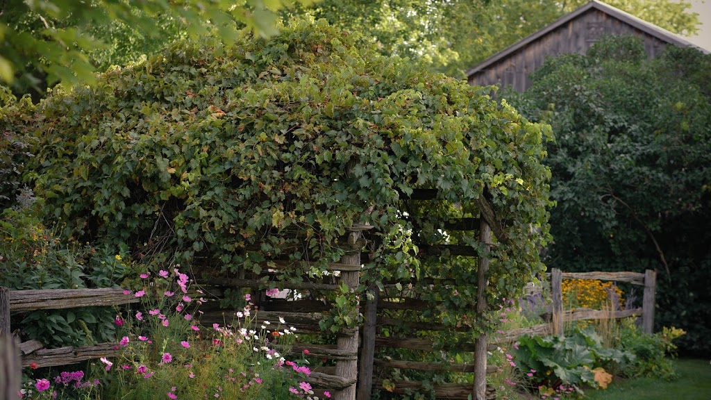 The Ginkgo Tree | C690 Concession 13 Brock, Cannington, ON L0E 1E0, Canada | Phone: (905) 953-6077