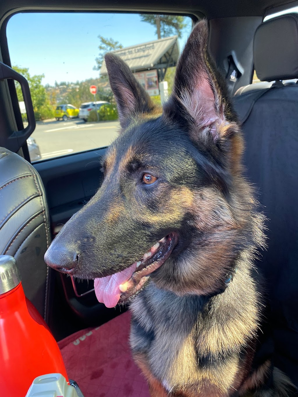 Complete K9 | 2618 Treit Rd, Shawnigan Lake, BC V0R 2W2, Canada | Phone: (604) 308-7573