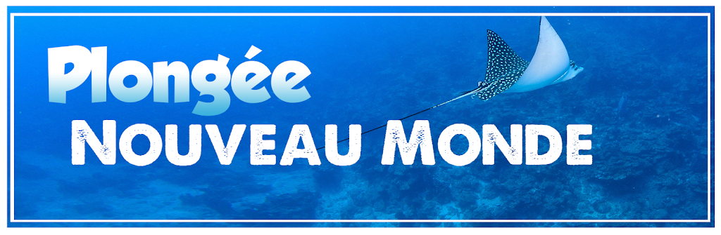 École de Plongée Nouveau Monde | 753 Rue Urgel Dorval, Joliette, QC J6E 8E5, Canada | Phone: (450) 271-9357