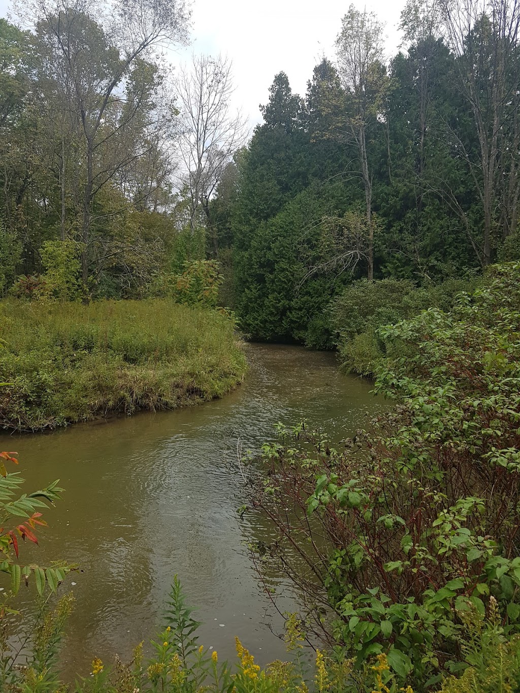 Stephens Gulch Conservation Area | L1C 4V7, 367 Stephens Mill Rd, Bowmanville, ON L1C 4V7, Canada