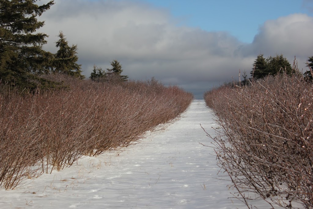 Fundy Biosphere Reserve | NB-935, Johnsons Mills, NB E4K 3N7, Canada | Phone: (506) 874-3272