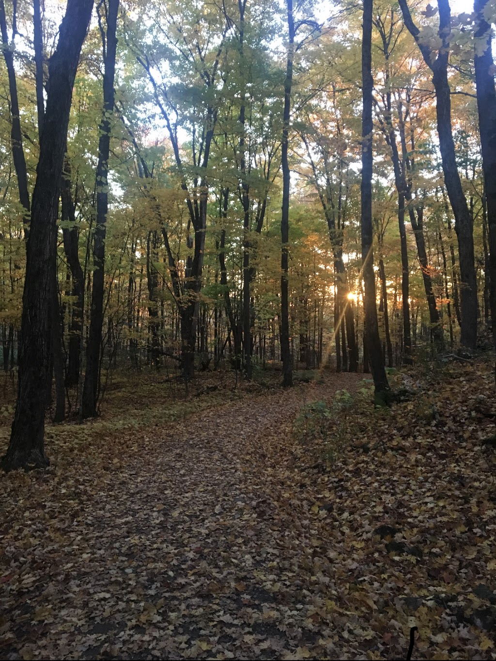 Gatineau Park | Hull, Gatineau, QC J9A, Canada