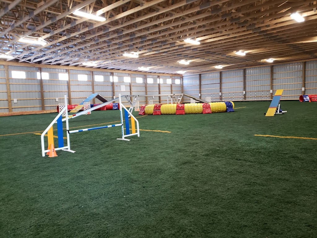 For the Love of Dog! Agility Training and Event Centre | 1638 PE-19, Prince Edward Island C0A 1H6, Canada | Phone: (902) 316-0219