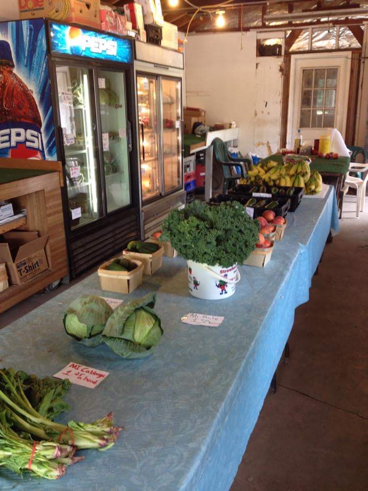Debbies veggies and rotarius greenhouse | 10246 Dixie Hwy, Ira Township, MI 48023, USA | Phone: (586) 725-0831