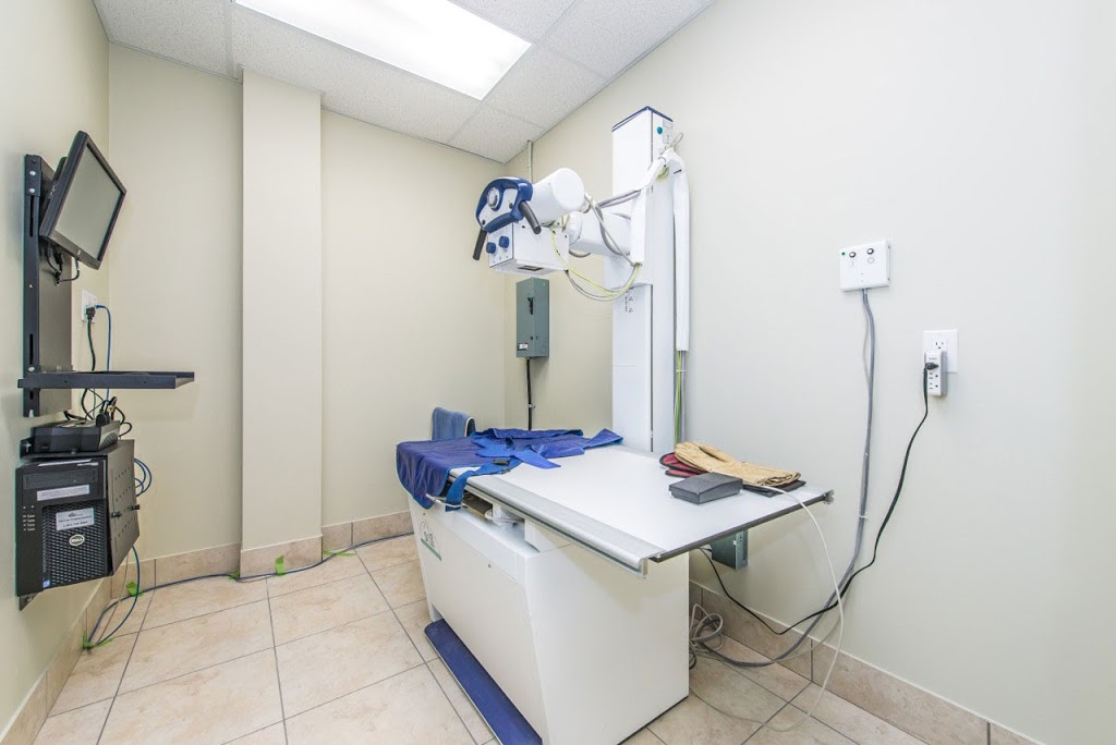 Guelph Lake Veterinary Hospital | 322 Eastview Rd Unit B4, Guelph, ON N1E 0L2, Canada | Phone: (519) 824-9898