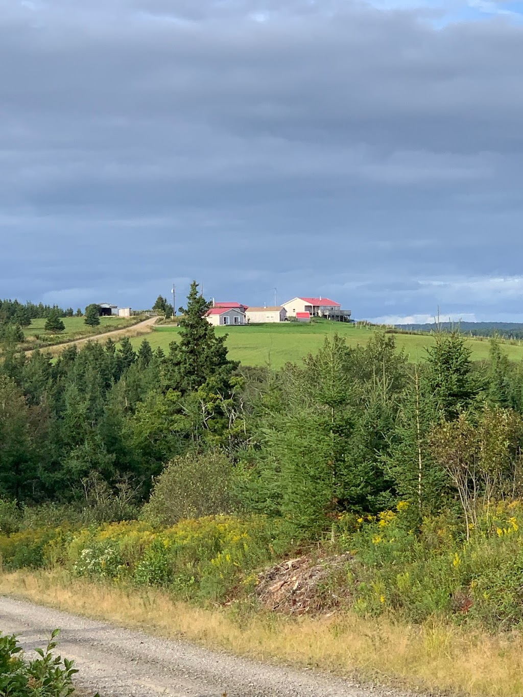 B&B on the Hill - Forge & Stable | Goshen Fisher Mills Rd, St. Marys, NS B0H 1M0, Canada | Phone: (902) 318-1811