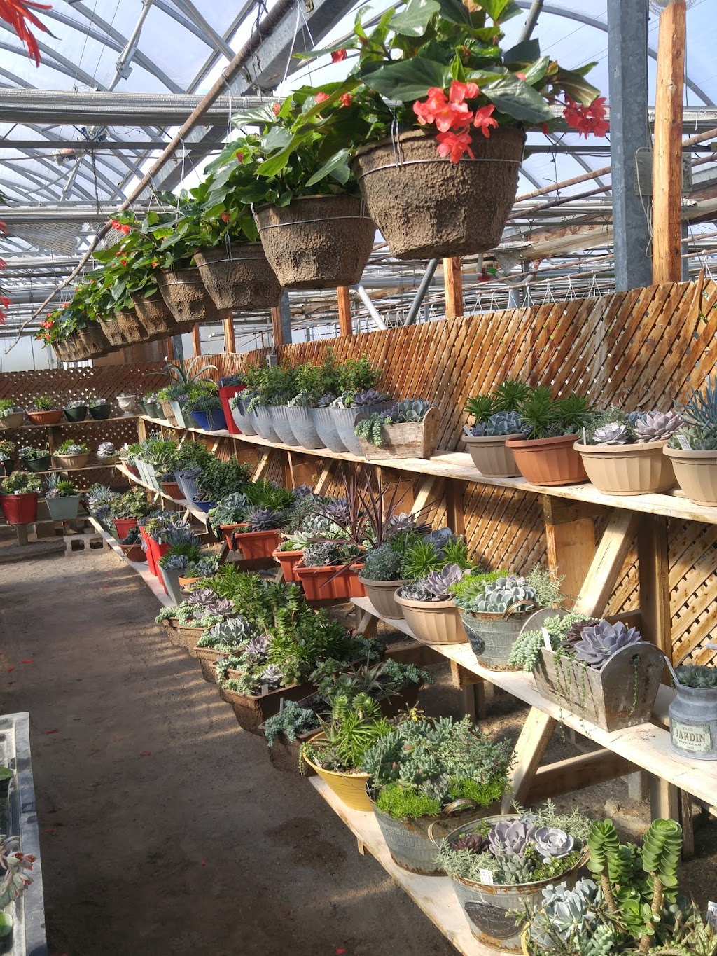 Viking Nursery | 4930 Sully Rd, Gores Landing, ON K0K 2E0, Canada | Phone: (905) 342-2537