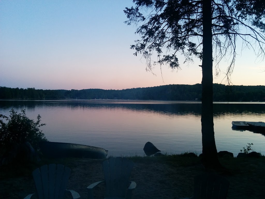 Wild Wild Rest | 1194 Dignan Rd, Haliburton, ON K0M 1S0, Canada | Phone: (416) 540-6178