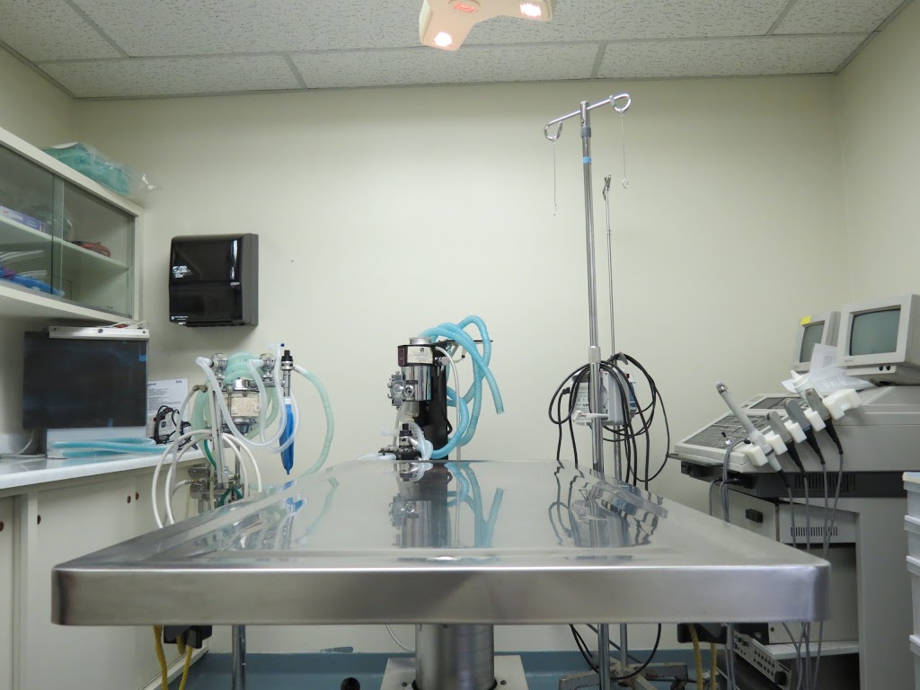 Ark Animal Hospital | 90 Front St S, Orillia, ON L3V 4S4, Canada | Phone: (705) 325-5001