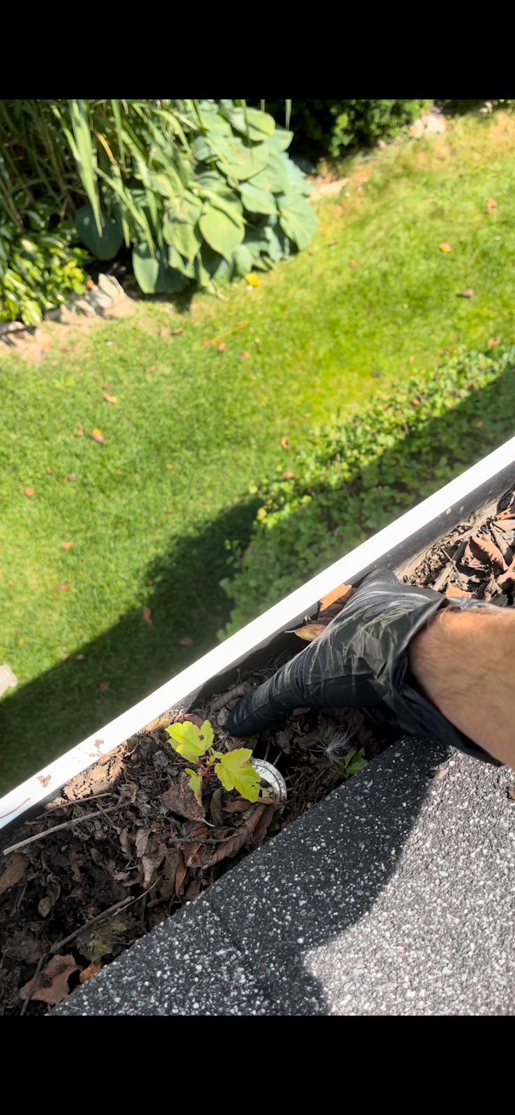 J.W Window & Gutter Cleaning | 707 John St W, Listowel, ON N4W 1B6, Canada | Phone: (519) 580-6752