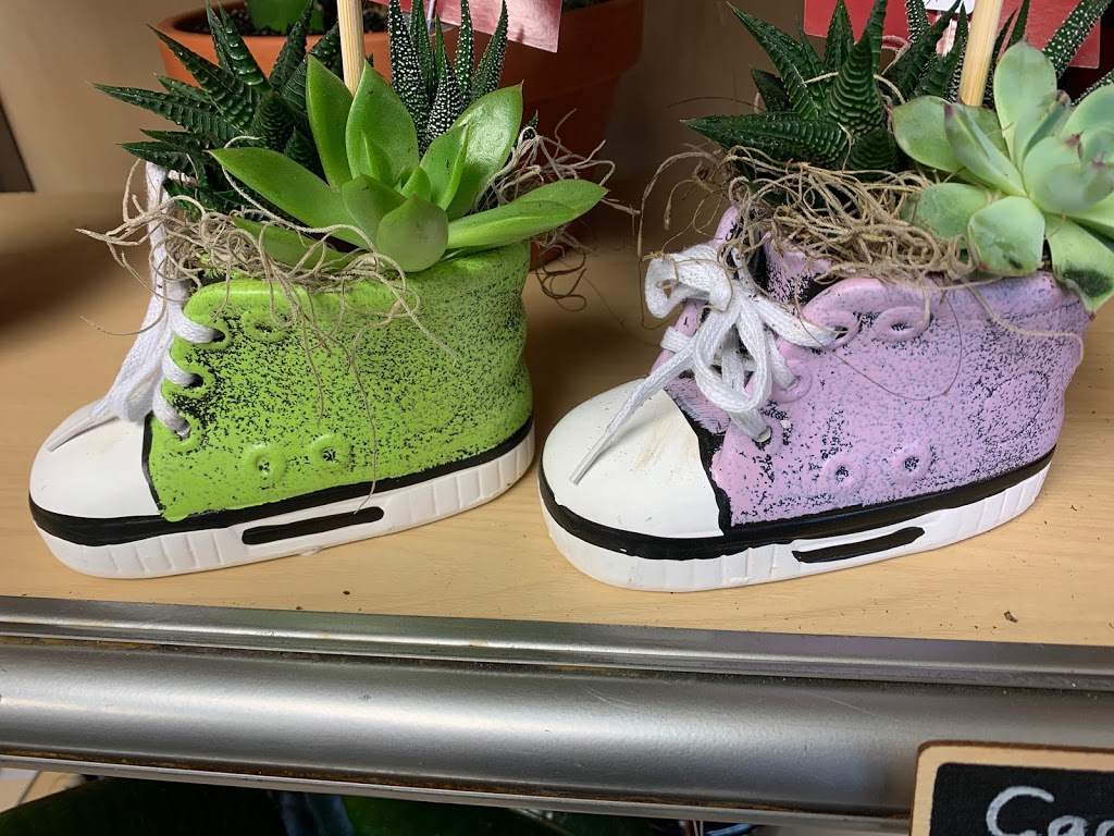 Reeds Florists Limited | 1355 Kingston Rd, Pickering, ON L1V 1B8, Canada | Phone: (905) 683-6060