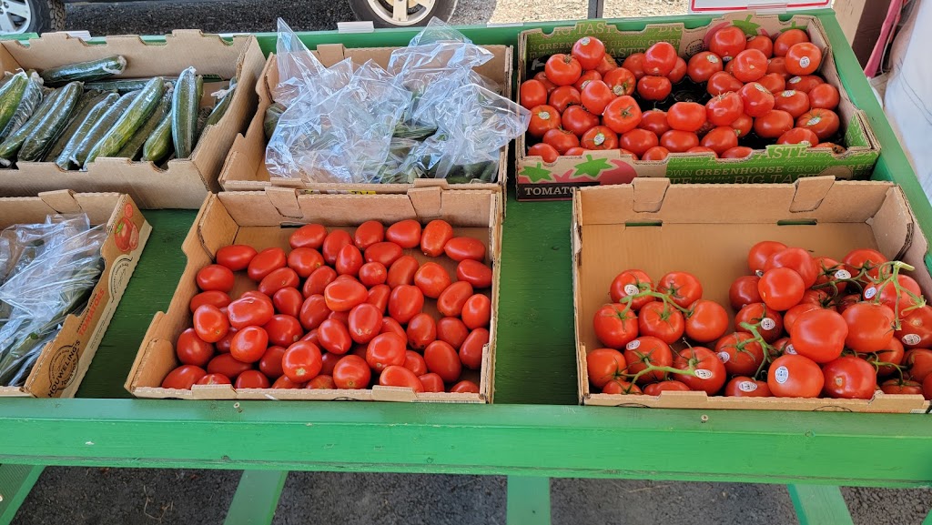 Surrey Farms | 4981 King George Blvd, Surrey, BC V3S 0L2, Canada | Phone: (604) 574-1390