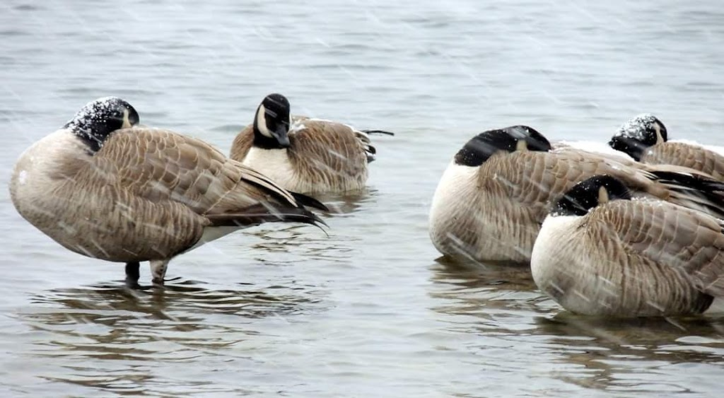 Traders Cove Regional Park | Central Okanagan G, BC V1Z 3S3, Canada | Phone: (250) 763-4918