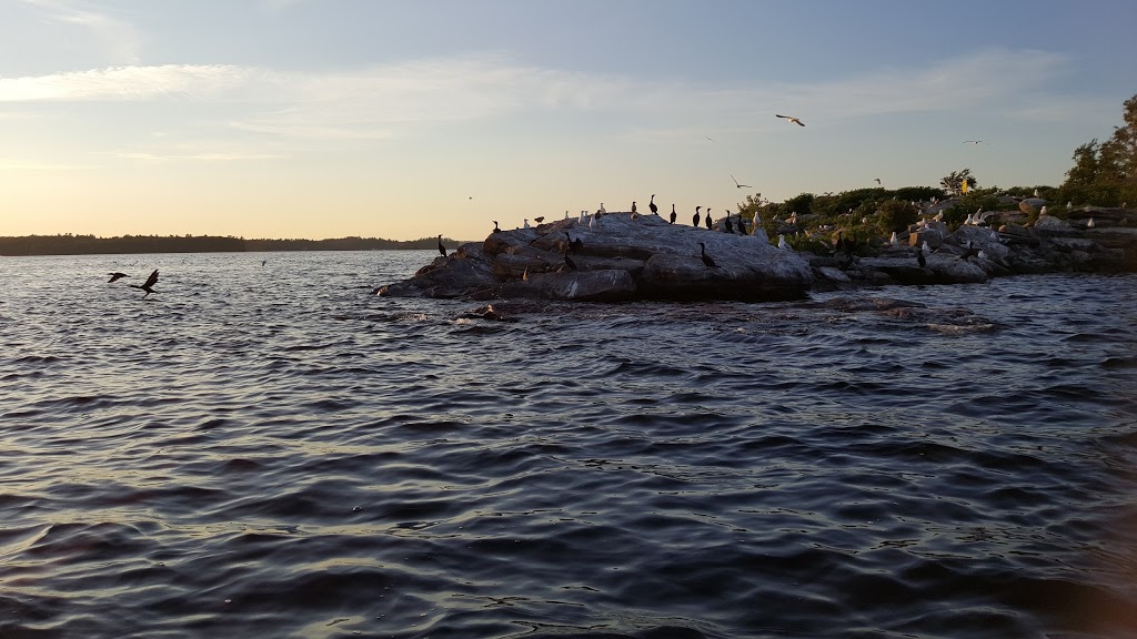 Eleanor Island Bird Sanctuary | Torrance, ON P0C 1M0, Canada