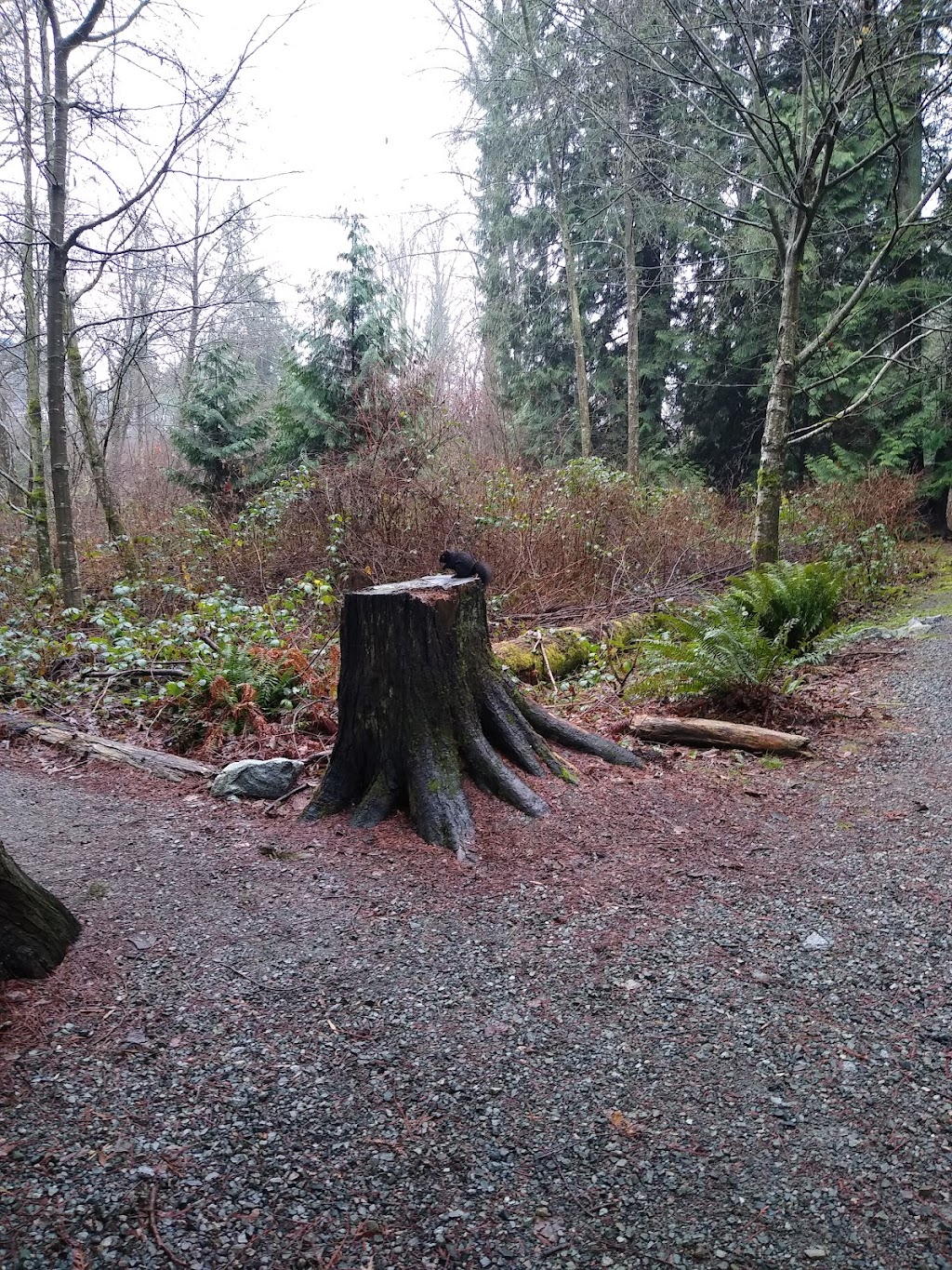 Stoney Creek School Park | 9136 Beaverbrook Dr, Burnaby, BC V3J 1J4, Canada | Phone: (604) 294-7450