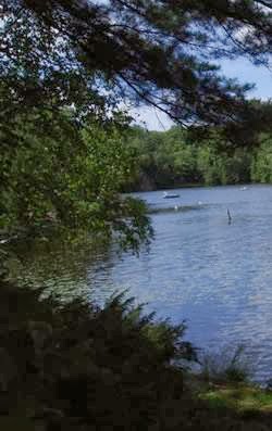 Lakeview Cottages | 4 Narrows Trail, Seguin, ON P2A 0B2, Canada | Phone: (705) 378-2740