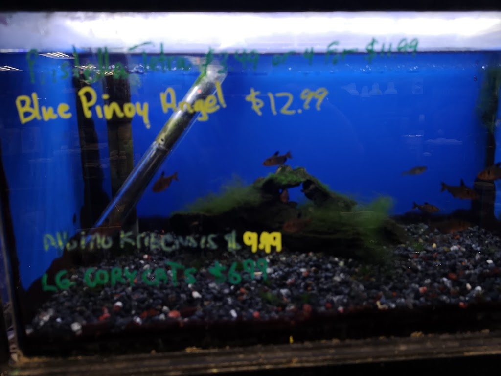 Critter Cove | 180 Front St S, Orillia, ON L3V 4S7, Canada | Phone: (705) 329-1069