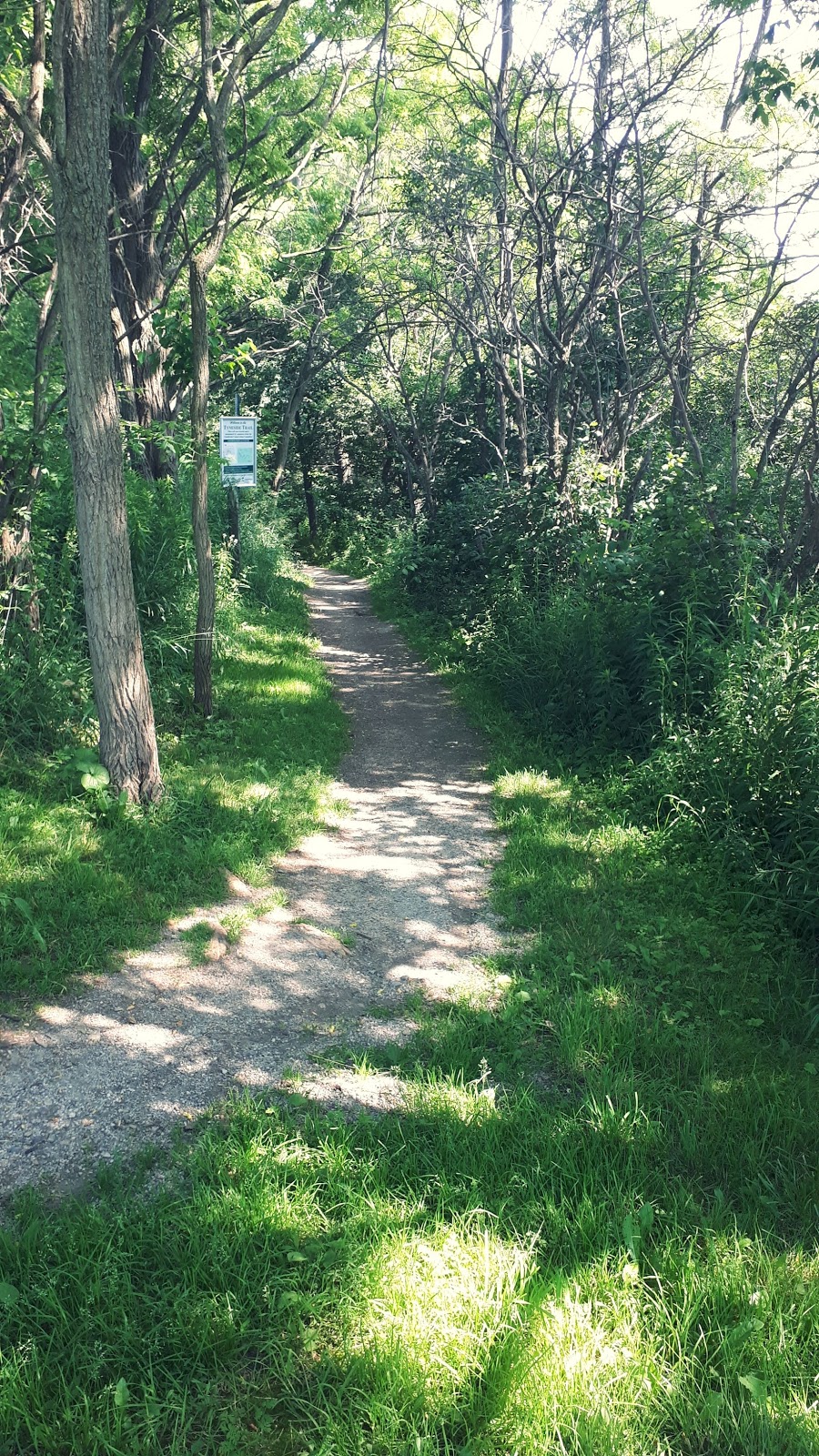 Tyneside Trail | Tyneside Trail, Hamilton, ON L0R 1W0, Canada