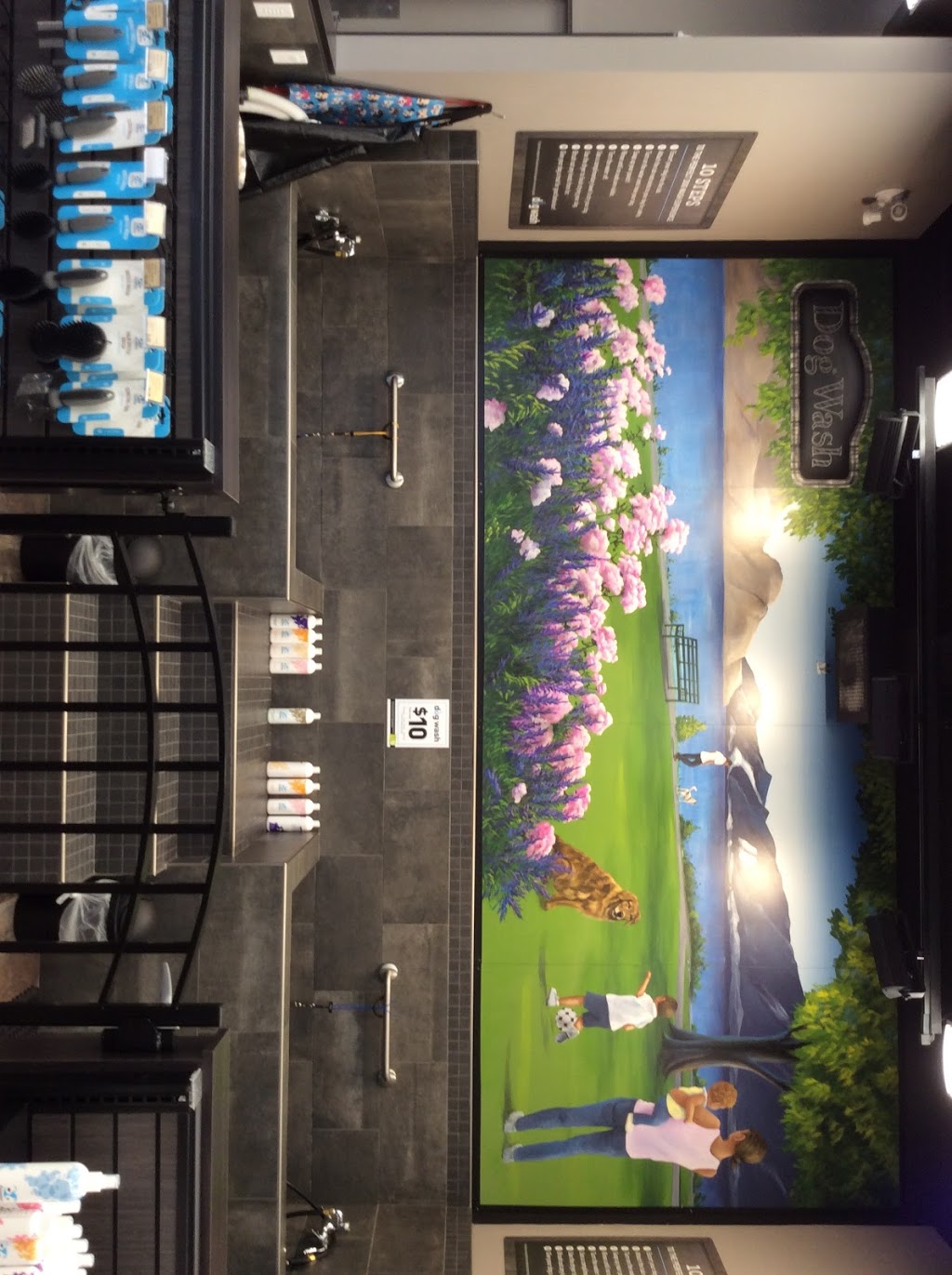 Bosleys by Pet Valu | 5500 Clements Crescent, Peachland, BC V0H 1X5, Canada | Phone: (250) 767-0121