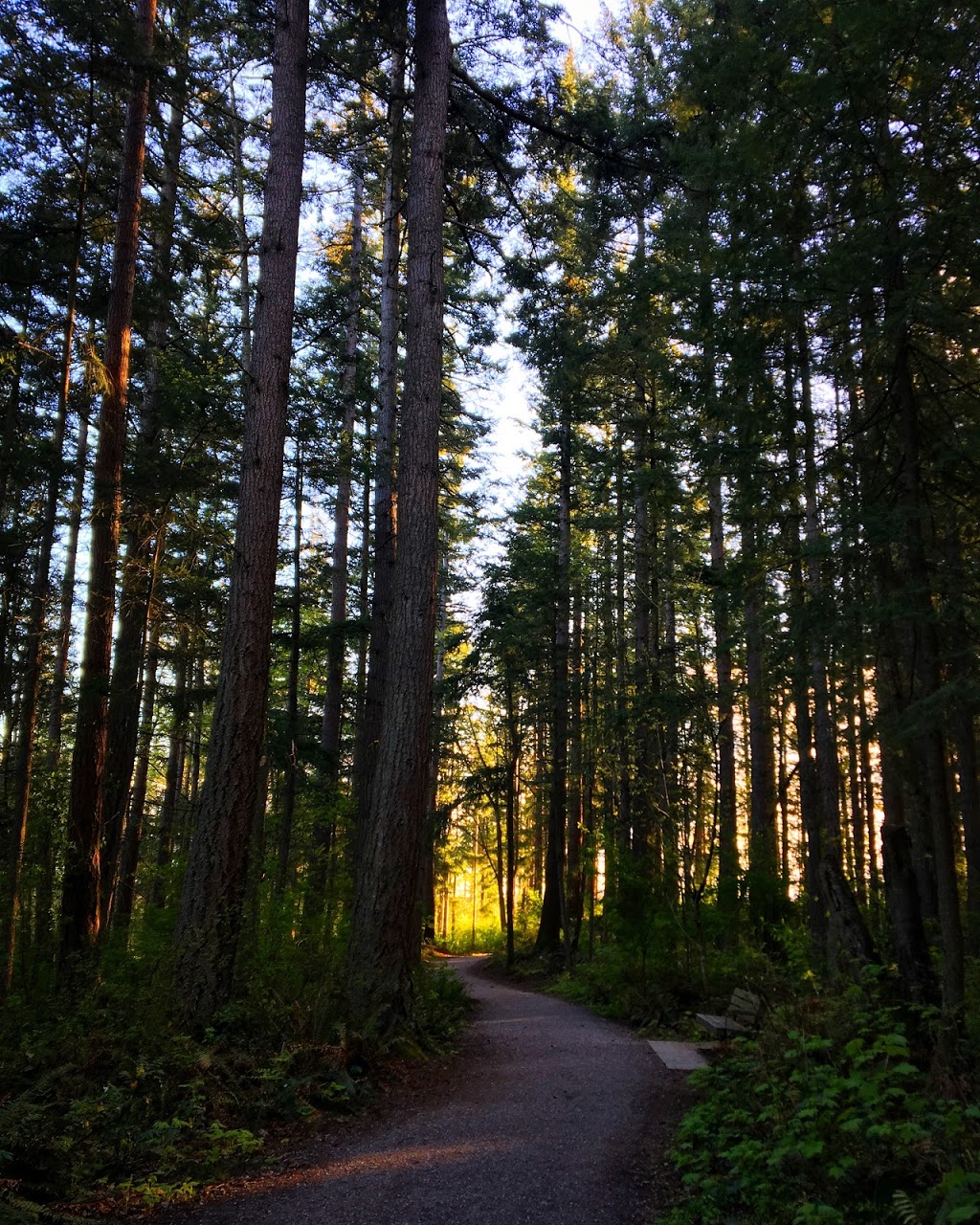 Northridge Park | 3400 Carrington Way, Bellingham, WA 43026, USA | Phone: (360) 778-7000