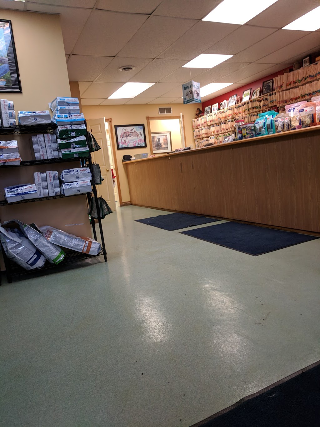 Port Perry Animal Hospital | 1816 Scugog St, Port Perry, ON L9L 1H8, Canada | Phone: (905) 985-7941