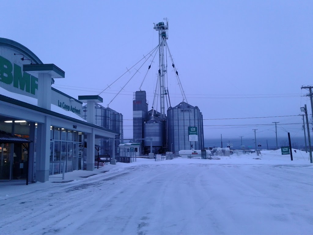 La Coop Agrivert | 1071 Mnt St Laurent, Saint-Barthélemy, QC J0K 1X0, Canada | Phone: (450) 885-3811
