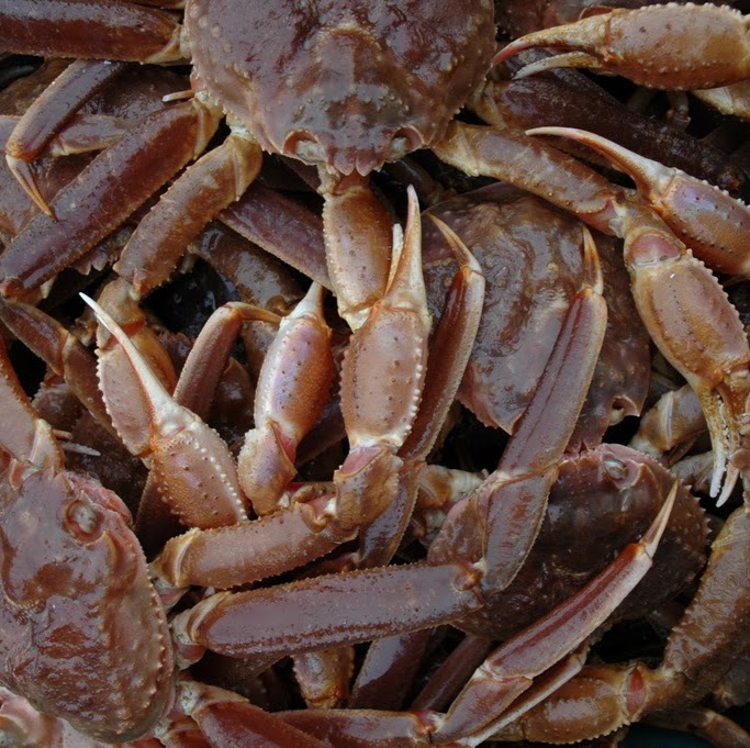 Poissonnerie Québec Océan | 1699 Route de lAéroport, LAncienne-Lorette, QC G2G 2P4, Canada | Phone: (418) 874-7773
