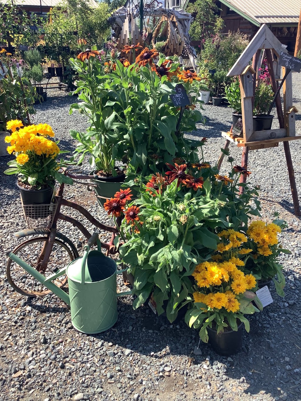 The Shrubbers | 999 Price Rd, Parksville, BC V9P 2C9, Canada | Phone: (250) 927-6422