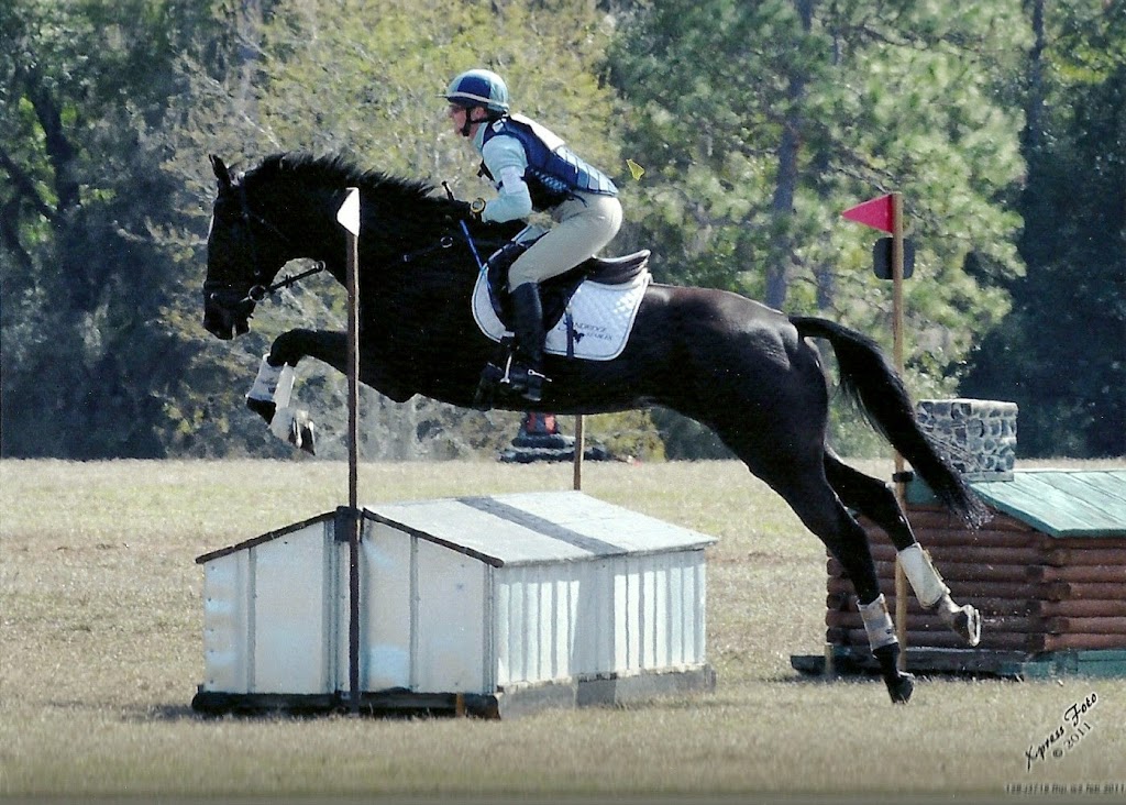 Sandridge Stables | 22335 Township Rd 520, Sherwood Park, AB T8C 1E2, Canada | Phone: (780) 922-7383