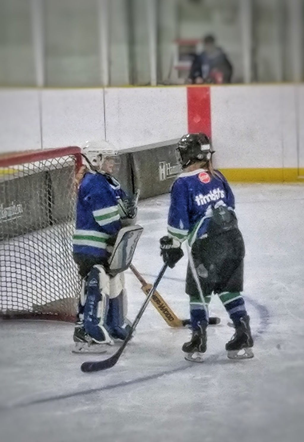 Rosedale Arena | 100 Greenhill Ave, Hamilton, ON L8K 6M4, Canada | Phone: (905) 546-3747