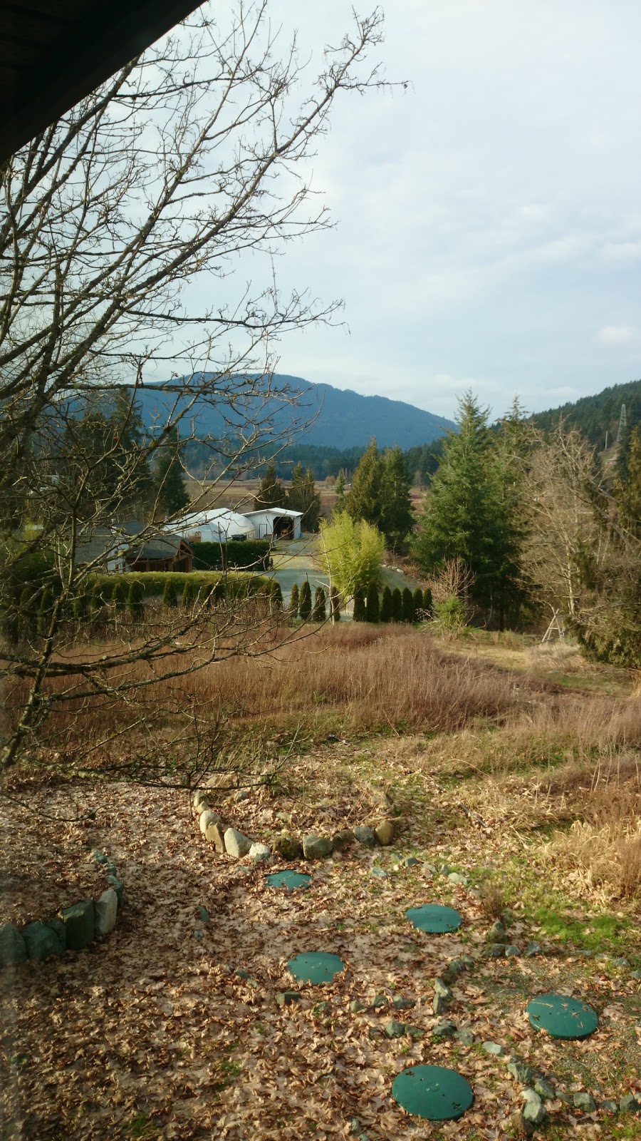 Folki Herb | 7180 Tom Windsor Rd, Duncan, BC V9L 5W3, Canada | Phone: (844) 673-6544