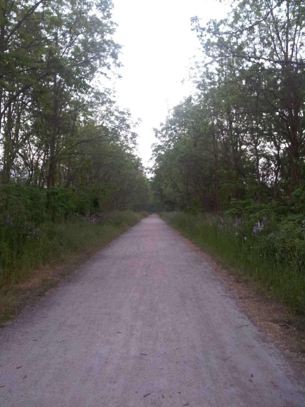 Little John Park | 10 Rogers Rd, Dundas, ON L9H 4E4, Canada | Phone: (289) 887-2174