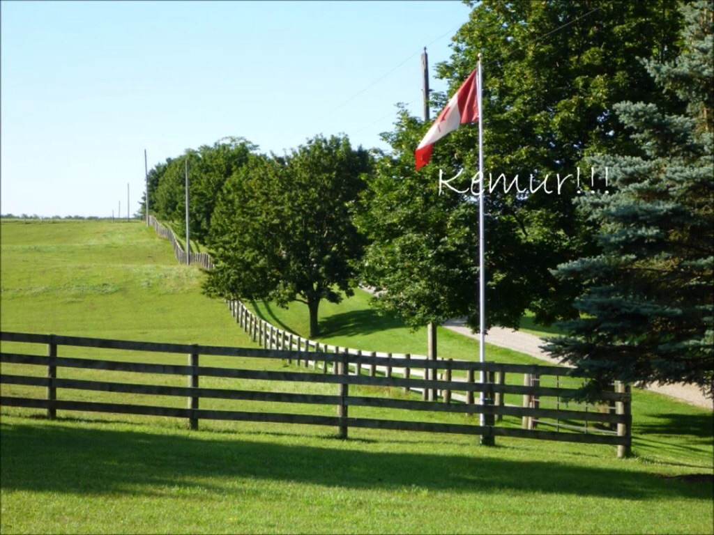 Kemur Camp | 2130 W River Rd, Cambridge, ON N1R 5S5, Canada | Phone: (519) 249-9504