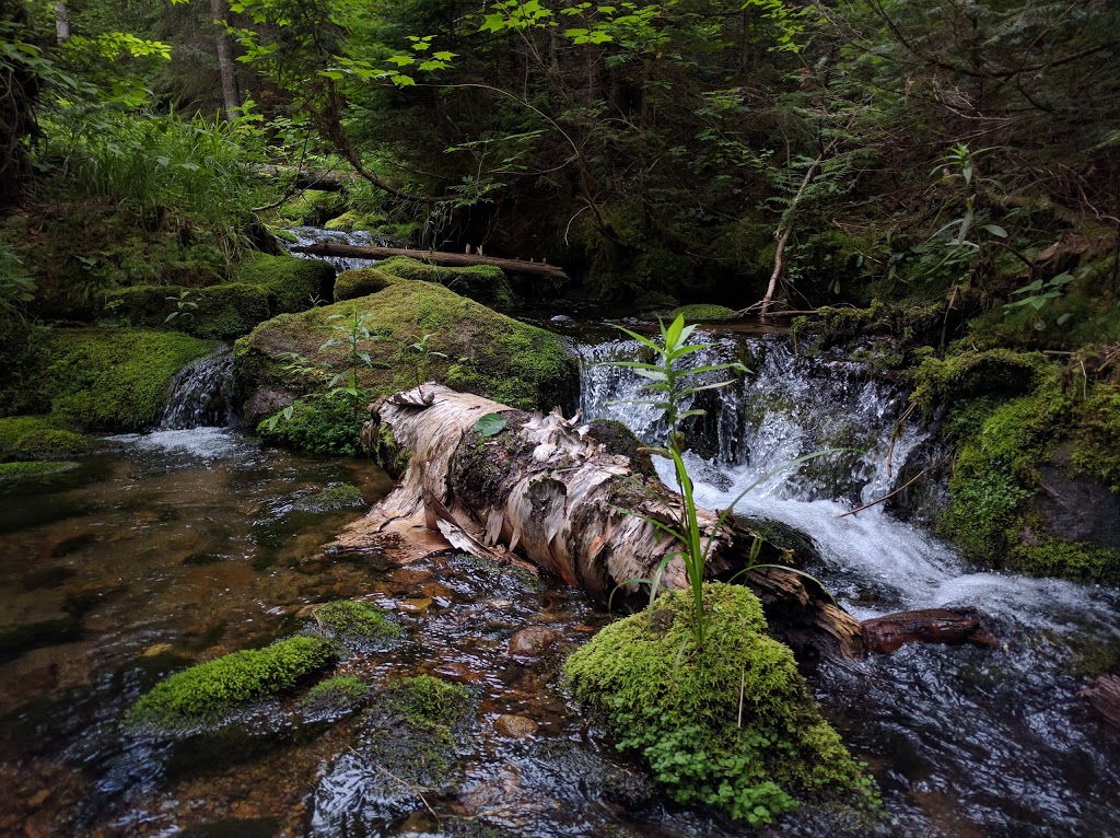 Mont-Mégantic National Park | 189 Route du Parc, Notre-Dame-des-Bois, QC J0B 2E0, Canada | Phone: (819) 888-2941